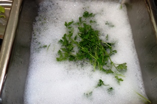 Veggies - wash herbs